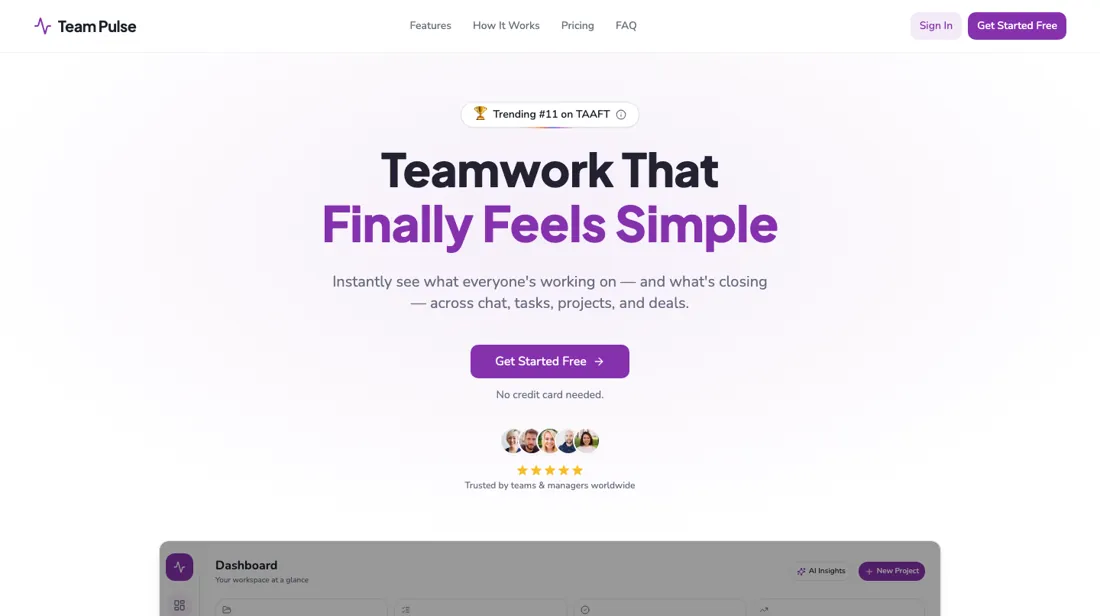 Team Pulse product